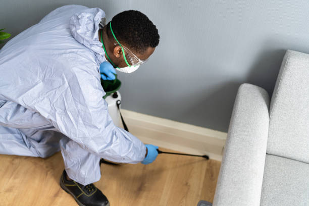 Best Residential Pest Control  in Pierre Part, LA